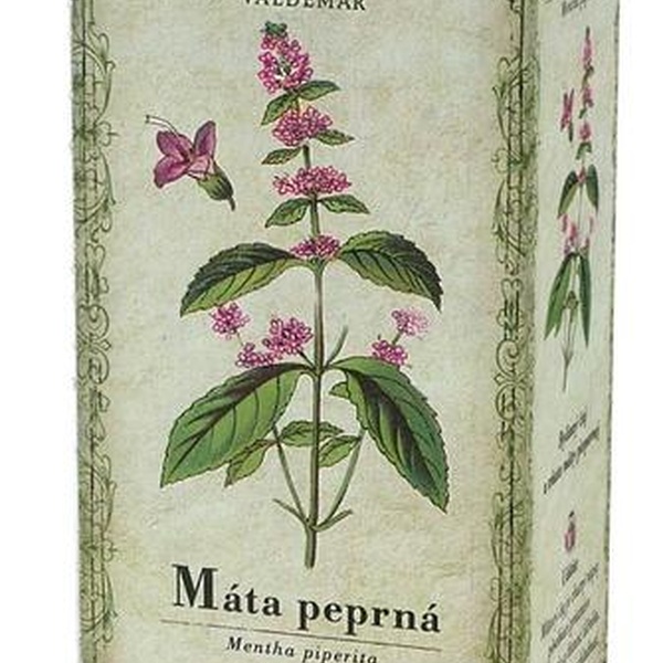 GREŠÍK Máta peprná 20 n.s. - 