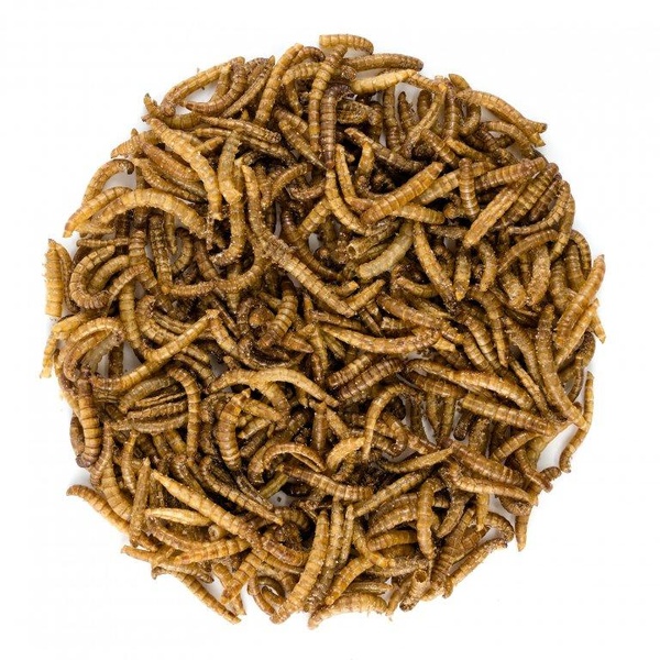 NUTSMAN Jedlí červíci se solí Množství: 20G - 