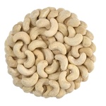 Mononenasycené tuky v kešu 1kg. Inovace v prenatální výživě