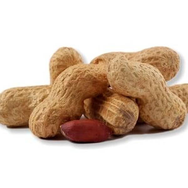 Ochutnej Ořech Buráky JUMBO neloupané pražené - 