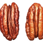 Pekanové ořechy 1 kg. Přírodní elixír pro paměť podporující udržitelnost